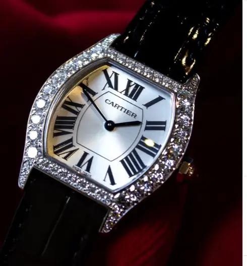 Cartier Watch Families