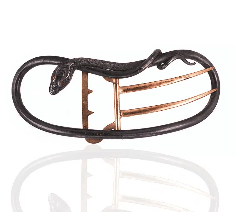 Georgianera beltbucklesnake