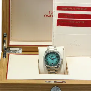 Seamaster Aqua Terra 220.10.38.20.03.005