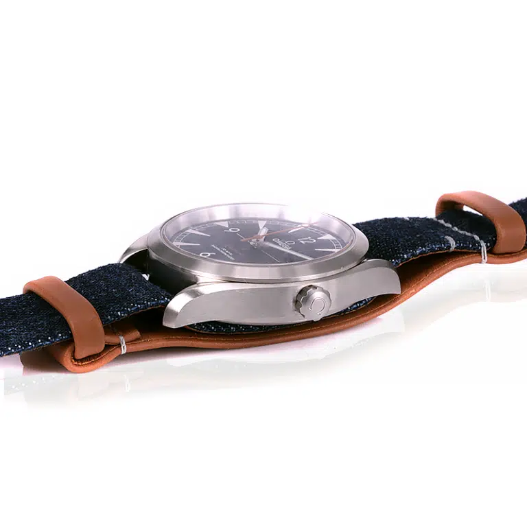 Omega Railmaster