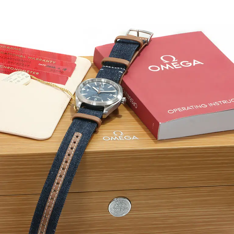 Omega Railmaster