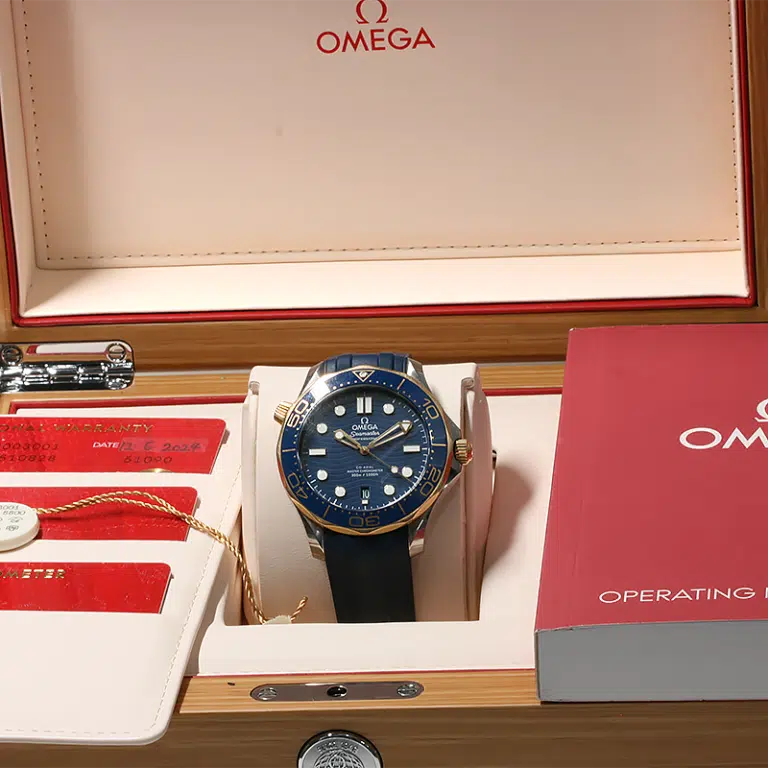 2024 Omega Seamaster Diver 300m 210.22.42.20.03.001